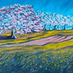 Chemin de terre au Verger Belliveau